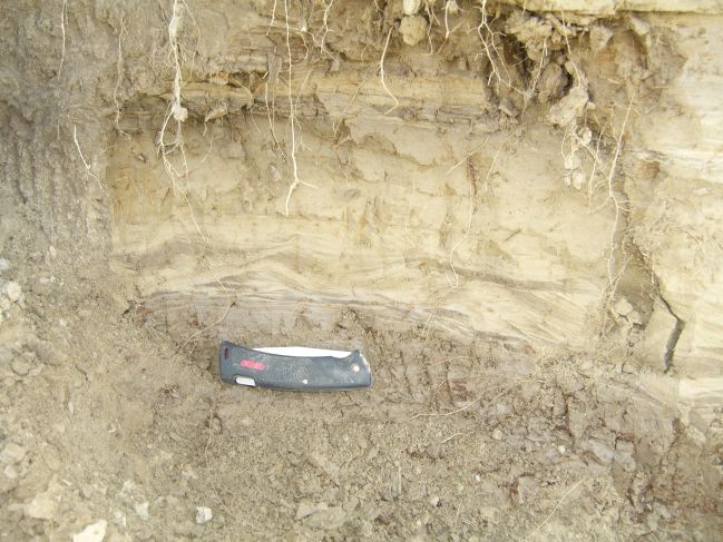 2006:09:14 02:49:10   AbandonedCh2a - wavy ripple laminations - photo 2.jpg